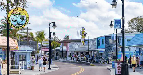 Transforming Plan Review in Tarpon Springs: From Paper Chaos to Digital Efficiency with e-PlanSoft™