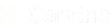 Camino