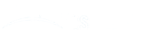 Vision